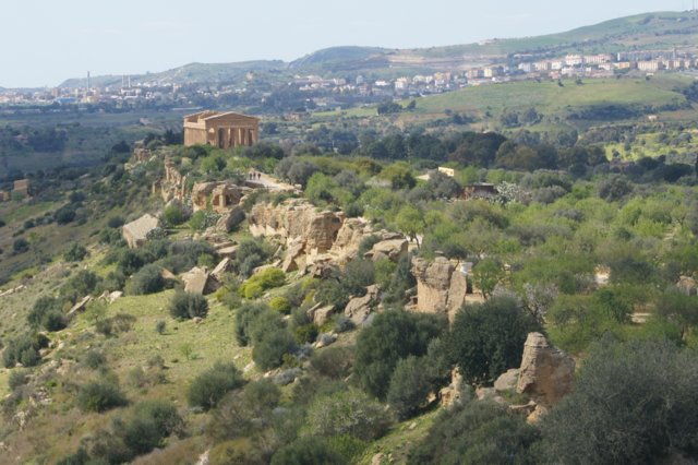 2011.03.08_agrigento_00051.jpg