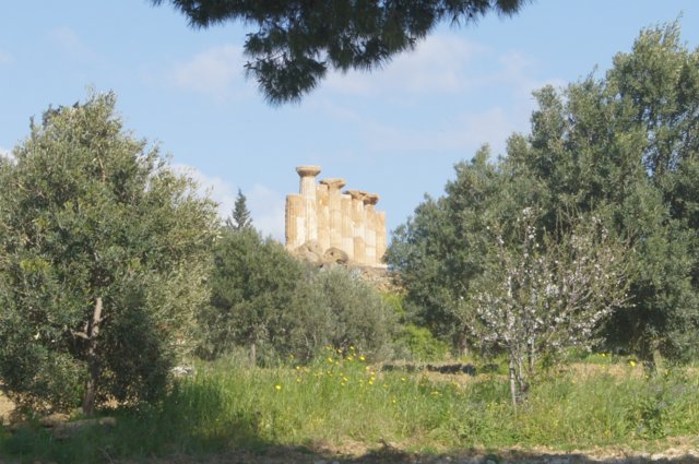 2011.03.08_agrigento_00085.jpg