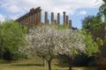 2011.03.08_agrigento_00048.jpg