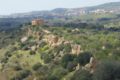 2011.03.08_agrigento_00051.jpg