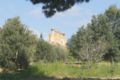 2011.03.08_agrigento_00085.jpg